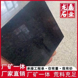 巴西黑花岗岩光板 黑色系石材 龙磊石业 山西黑石材 10平方米
