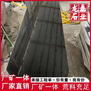 山西黑花岗岩光面 巴西黑光板 龙磊石业 多种规格可选  10平方米